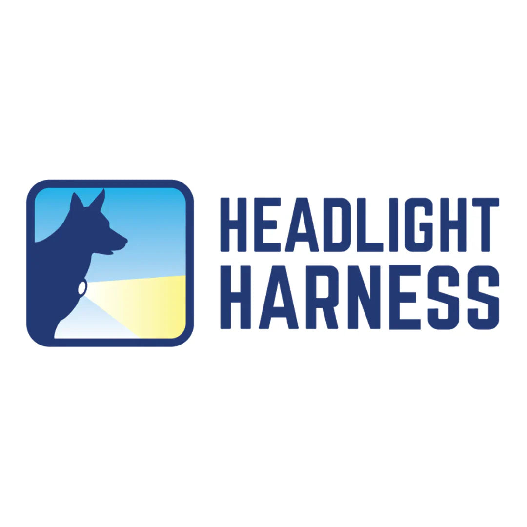 Headlight Harness